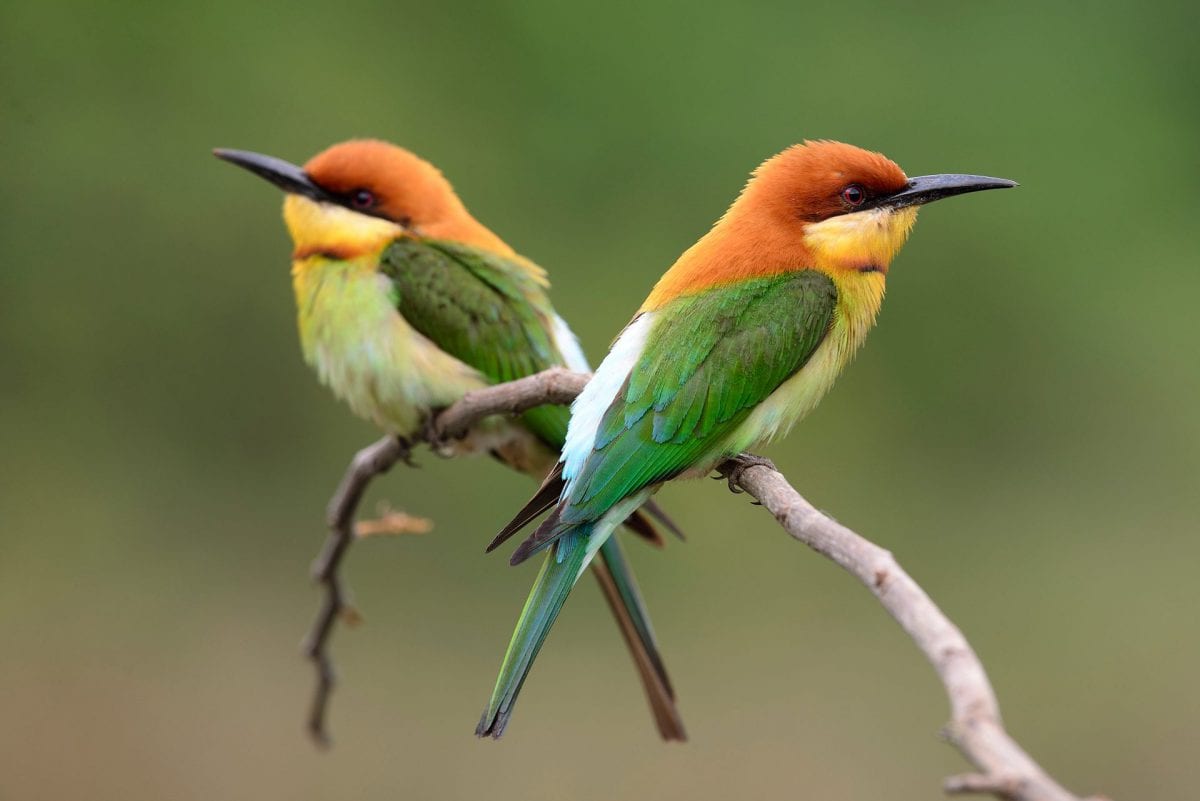 shutterstock_1052756585-1920x1281