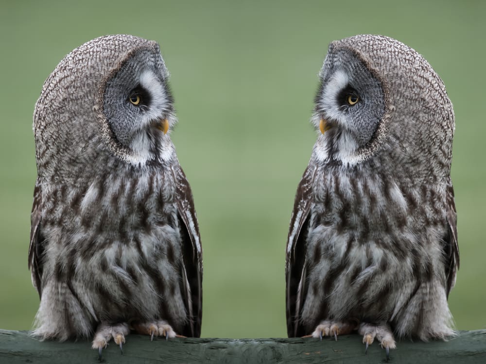 shutterstock_245815738