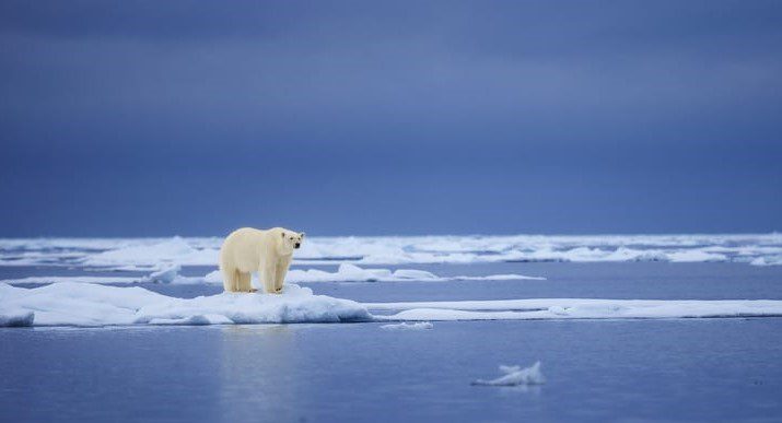 IJSBEER_ijsschots_Advies2